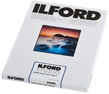Ilford 2008004