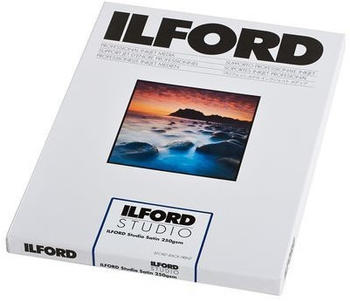 Ilford 2008001