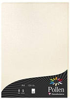 Pollen by Clairefontaine Papier DIN A4, perlmutt-elfenbein