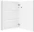 vidaXL LED-Spiegelschrank Bad Glänzend Weiß 50x13x70cm (326501)