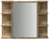 vidaXL Spiegelschrank Badezimmer Artisan-Eiche 80x20,5x64cm (856037)