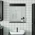 vidaXL BERG Badspiegel mit Ablage Massivholz Schwarz 60x12x70cm (358559)