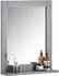 SoBuy Badspiegel Wandspiegel mit 1 Ablage, Dunkelgrau (FRG129-SG)