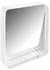 Hewi System 800 Kippspiegel pulverbeschichtet weiß tiefmatt 580x680mm (8000110160DX)