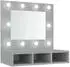 vidaXL Spiegelschrank mit LED Betongrau 60x31,5x62cm (808886)