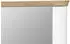 xonox.home Aarhus Wandspiegel Weiß matt / Nox Oak, 165x63x4cm (Aarhus)