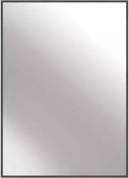 Nielsen Alpha Wandspiegel Aluminium Grau Glanz 50x70cm