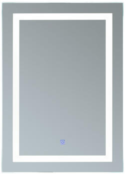 HomCom ED Badspiegel Glas Aluminium 60x80x4cm (834-031)
