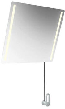 Hewi LED basic Barrierefrei Spiegel 54x0,6cm signalweiß (801.01.400 98)