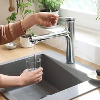 hansgrohe Zesis M33 Einhebel-K&uuml;chenarmatur 160 mit Ausziehbrause, 2 Strahlarten,