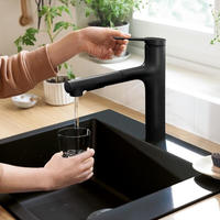 hansgrohe Zesis M33 Einhebel-K&uuml;chenarmatur 160 mit Ausziehbrause, 2 Strahlarten,