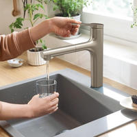 hansgrohe Zesis M33 Einhebel-K&uuml;chenarmatur 160 mit Ausziehbrause, 2...