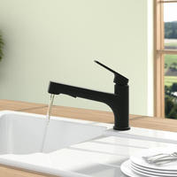 Villeroy & Boch 92810006 Junis Shower matt Black K&uuml;chenarmatur Schlauchbrause