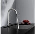 Rainsworth Wasserhahn Küche mit Brause Ausziehbar (RW-CFLT)