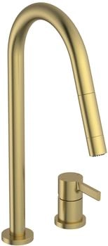 Ideal Standard Gusto Ausladung 240mm 2F-Brause brushed gold (BD424A2)