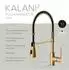 Lenz Elektronik KALANI² Küchenarmatur Gold, Pendelbrause, 2 Strahlarten, 360° schwenkbar (46070341)