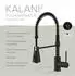 Lenz Elektronik KALANI² Küchenarmatur Schwarz Matt (46070351)
