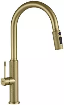 Rea Master Küchenarmatur Einhebelmischer Gebürstetes Gold (REA-B7204)