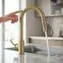 Rea Fresh Touch Küchenarmatur Gebürstetes Gold (REA-B9842)