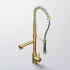 Steinberg Serie 100 Küchenarmatur mit Handbrause, schwenkbar, brushed gold (1001480BG)