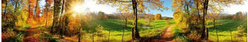 DIMEX Küchenrückwand Folie selbstklebend 350x 60 cm Wiese