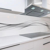 Rodnik K&uuml;chenr&uuml;ckwand Eleganz, monolithische ABS-Platte mit Direktdruck,...