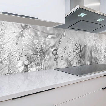 Rodnik Küchenrückwand Pusteblumen 60 x 200 cm, robuste ABS-Kunststoff Platte Monolith mit Direktdruck, grau