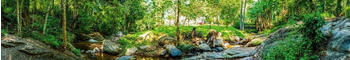 DIMEX Küchenrückwand Folie selbstklebend 350x 60 cm BOTANISCHER GARTEN