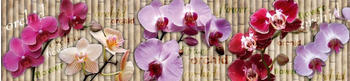 DIMEX Küchenrückwand Folie selbstklebend Spritzschutz 260x 60 cm Orchidee