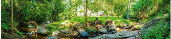 DIMEX Küchenrückwand Folie selbstklebend Spritzschutz 260x 60 cm BOTANISCHER GARTEN
