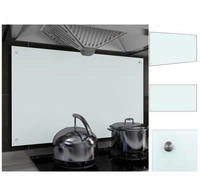 vidaXL K&uuml;chenr&uuml;ckwand Milchwei&szlig; 100x60 cm Hartglas