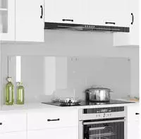 vidaXL K&uuml;chenr&uuml;ckwand 2 pcs Transparent 80 x 50 cm Geh&auml;rtetes Glas