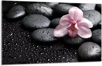 OEM Orchidea Glasschutzplatte für Herd 80x52cm (darhaus_5903515755517)