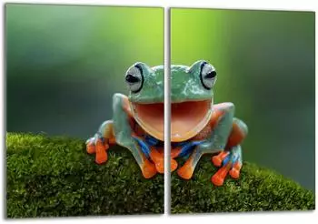 OEM Glasschutzplatte für Herd Frosch 2x40x52cm (darhaus_5903515763628)