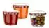 BigDean Sturzgläser 230ml TO 82 mit Schraubdeckel, 24er-Set (738353)