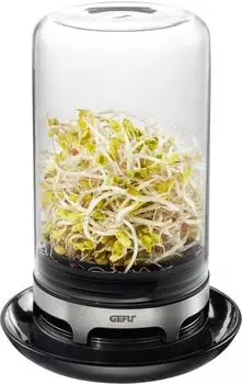 GEFU Sprossenglas Bivita