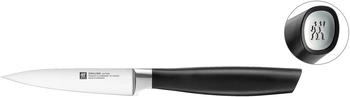 ZWILLING All * Star Spick & Garniermesser 10 cm, Silber silver
