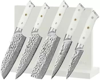 Wakoli Perle Blanche 5er Messerset mit Messerblock, Damaststahl 67 Lagen VG10, G10-Griff (4250567709663)
