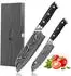 Wakoli Nitoko Santoku-Messerset 2-tlg., 67 Lagen Damaststahl VG10, G10 Griff (2DM-G10-SET-NIT)