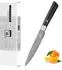 Zayiko Black Edition Allzweckmesser Damaststahl 67 Lagen, 13cm Klinge (1DM-ALL-BLA)
