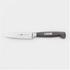 Zwilling Vier Sterne Spick- und Garniermesser 10 cm