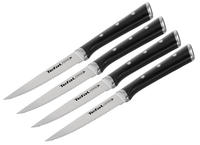 Tefal Steakbesteck "K232S4 Ice Force" 11cm, Spezialmesser, langfristige Leistung,