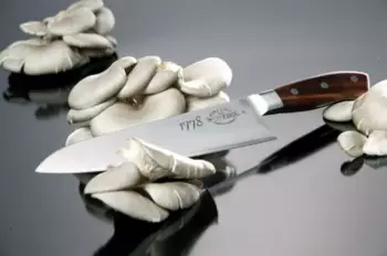 Friedr.Dick 1778 Kochmesser 24 cm – Carbonstahl für langanhaltende Schärfe mit Pflegebedarf