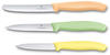 Victorinox Swiss Classic Trend 3-teilig (6.7116.34L2) mehrfarbig