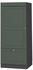 Livinity Mikrowellenschrank Fame-Line, 60 cm, Grün-Gold Landhaus/Anthrazit