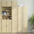 vidaXL Wandschrank Sonoma-Eiche 40x42,5x40 cm