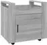 vidaXL Bürowagen Grau Sonoma 60x45x60 cm (816614)
