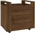 vidaXL Bürowagen Braun Eichen-Optik 60x45x60 cm (816615)