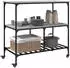 vidaXL Küchenwagen Grau Sonoma 100x50x95 cm (842309)