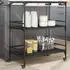 vidaXL Küchenwagen Schwarz 100,5x50x105 cm (842331)